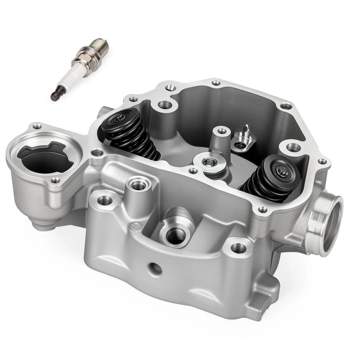 Cylinder Head Valves Kit for Honda Rancher 420 TRX420 2009-2024