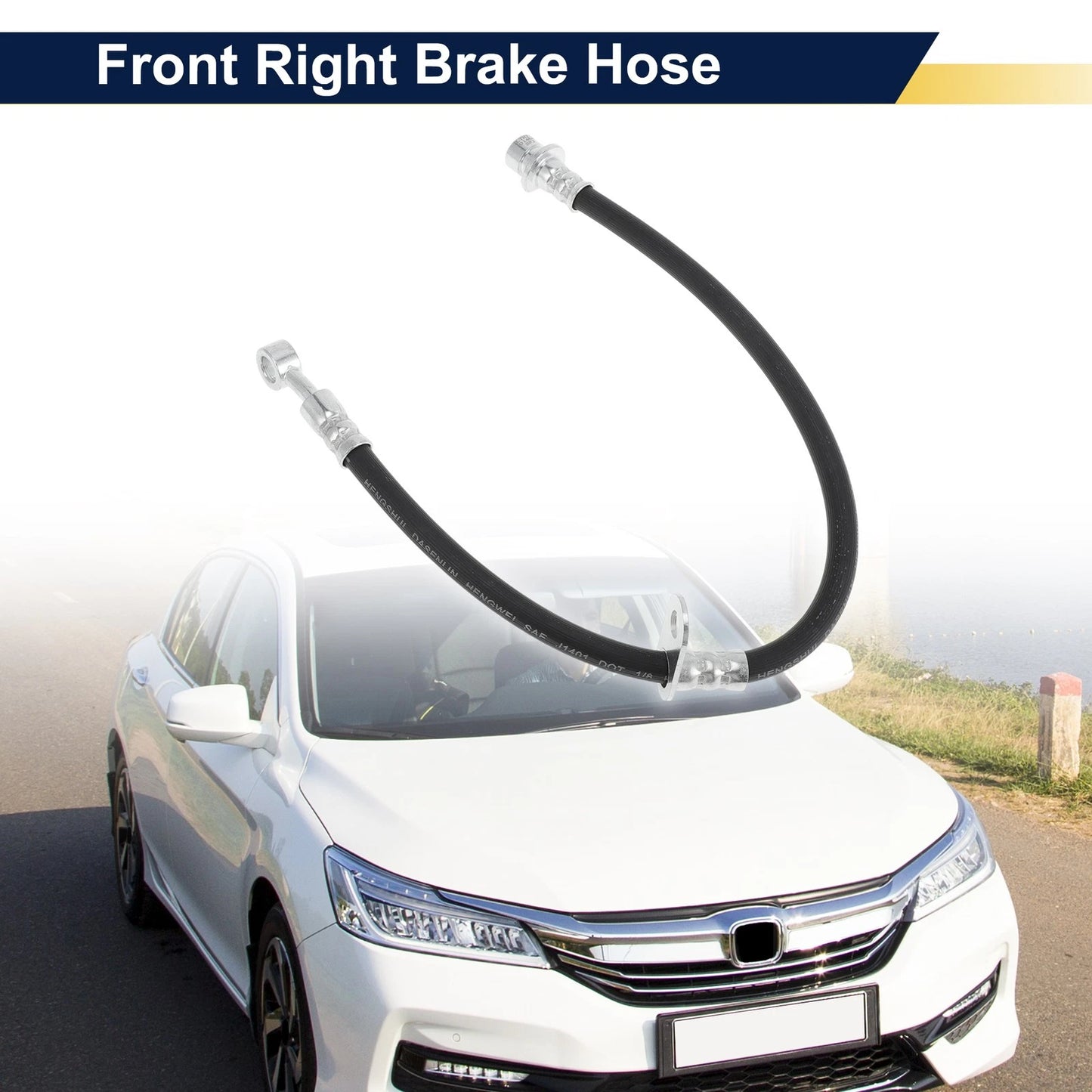 Front Right Brake Hose for Honda (2016-2021)