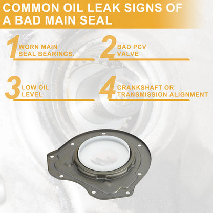 Crankshaft Oil Seal for Ford Transit (2018-2019)