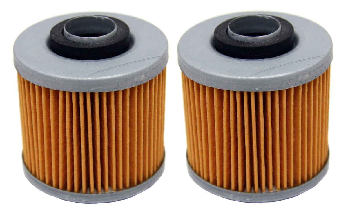 Oil Filters 2 x for Yamaha Grizzly 600 4x4 YFM600FW & Raptor 700 YFM700R