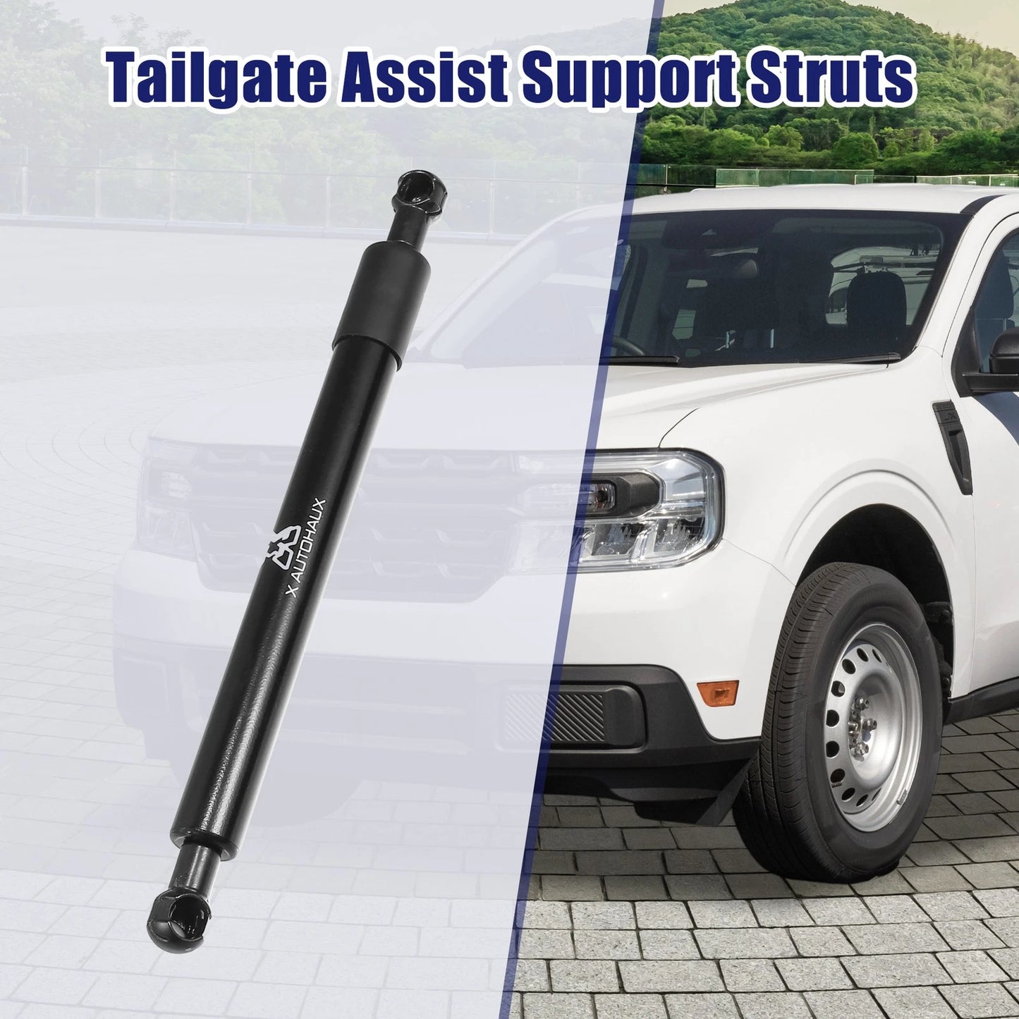 Rear Tailgate Assist Shock Lift Support Struts for Dodge Ram 1500
