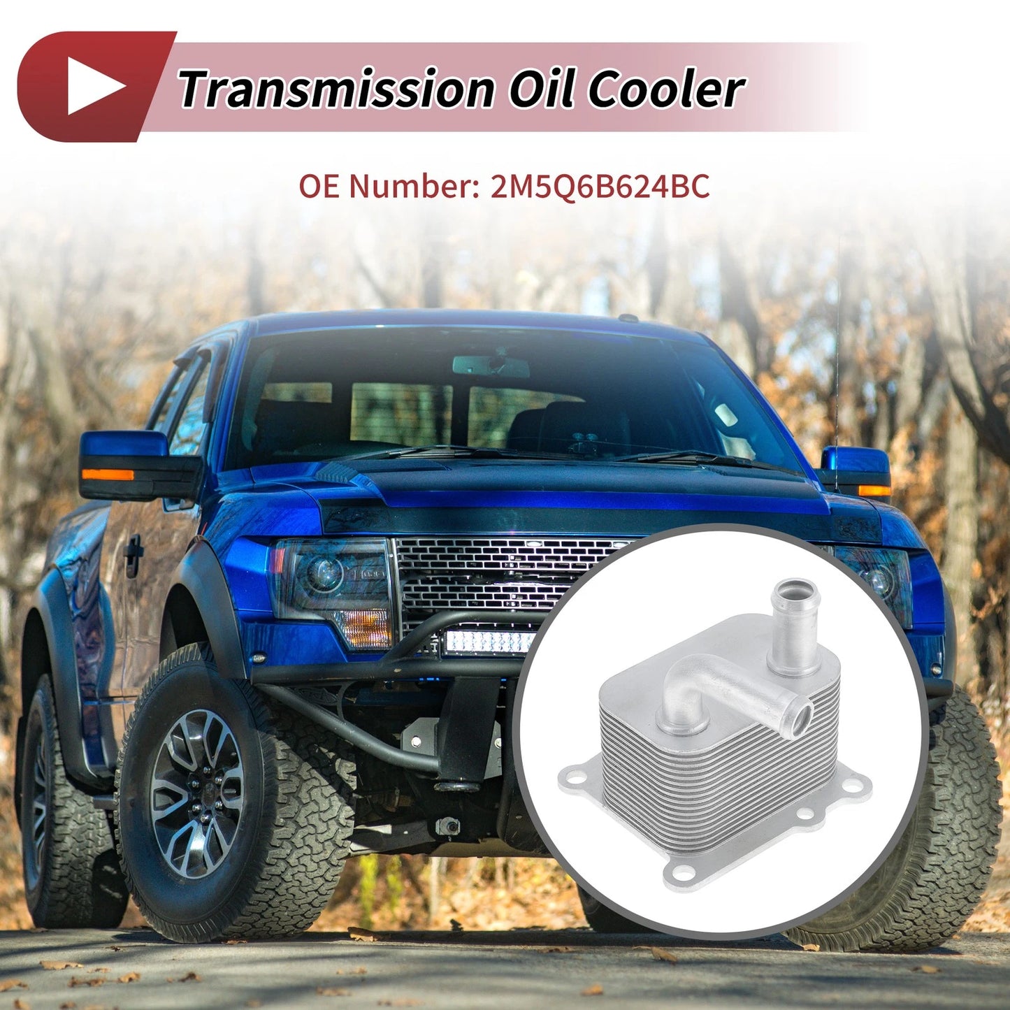 Engine Oil Cooler for Ford Focus (1999-2005) 1 x Trans Cooler