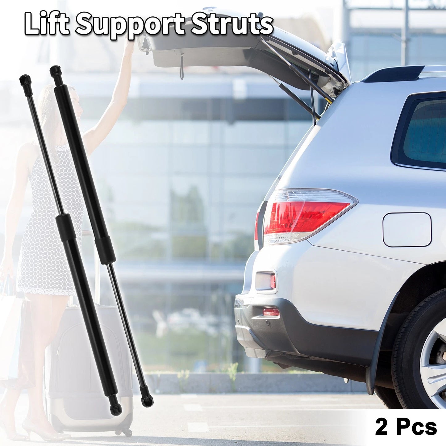 2 x Rear Hatch Lift Supports Struts for Toyota Matrix (2003–2008)
