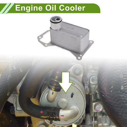 Engine Oil Cooler for BMW X5 (2019-2023) 1 x No.11428512435