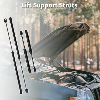 Front Hood & Tailgate Lift Supports Struts Set for Dodge Intrepid (1998-2004)
