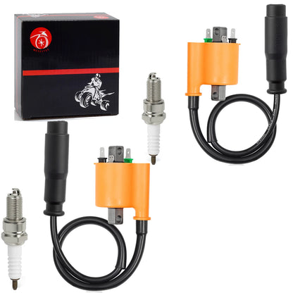 2 x Ignition Coil Spark Plug for Kawasaki Teryx 750 800 (2009-2022)