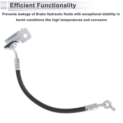 Brake Hydraulic Hose for Hyundai (2011-2016)