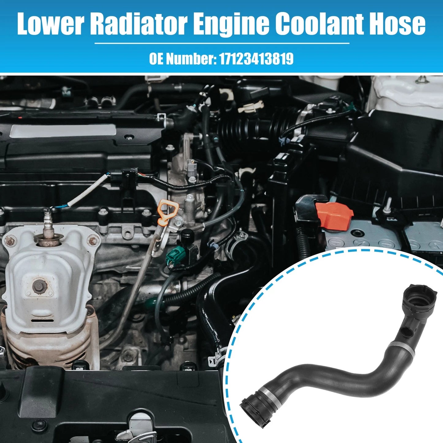 Lower Radiator Coolant Hose for BMW X3 2.5L L6 (2004-2010)