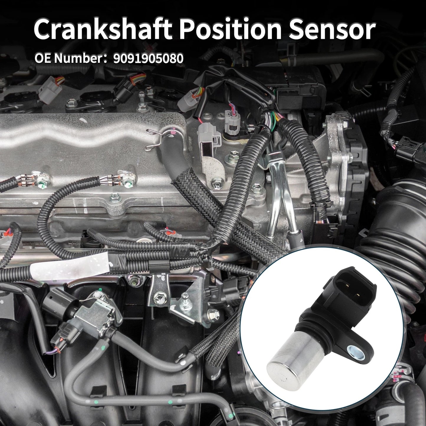 Crankshaft Position Sensor 1 Pc for Toyota Elios Liva Cross
