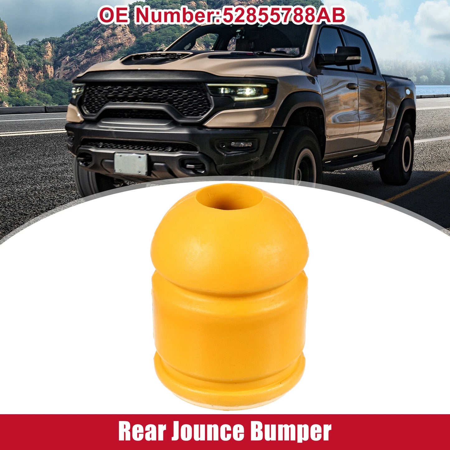 Rear Jounce Bumper for Dodge Ram 1500 (2009 - 2010)