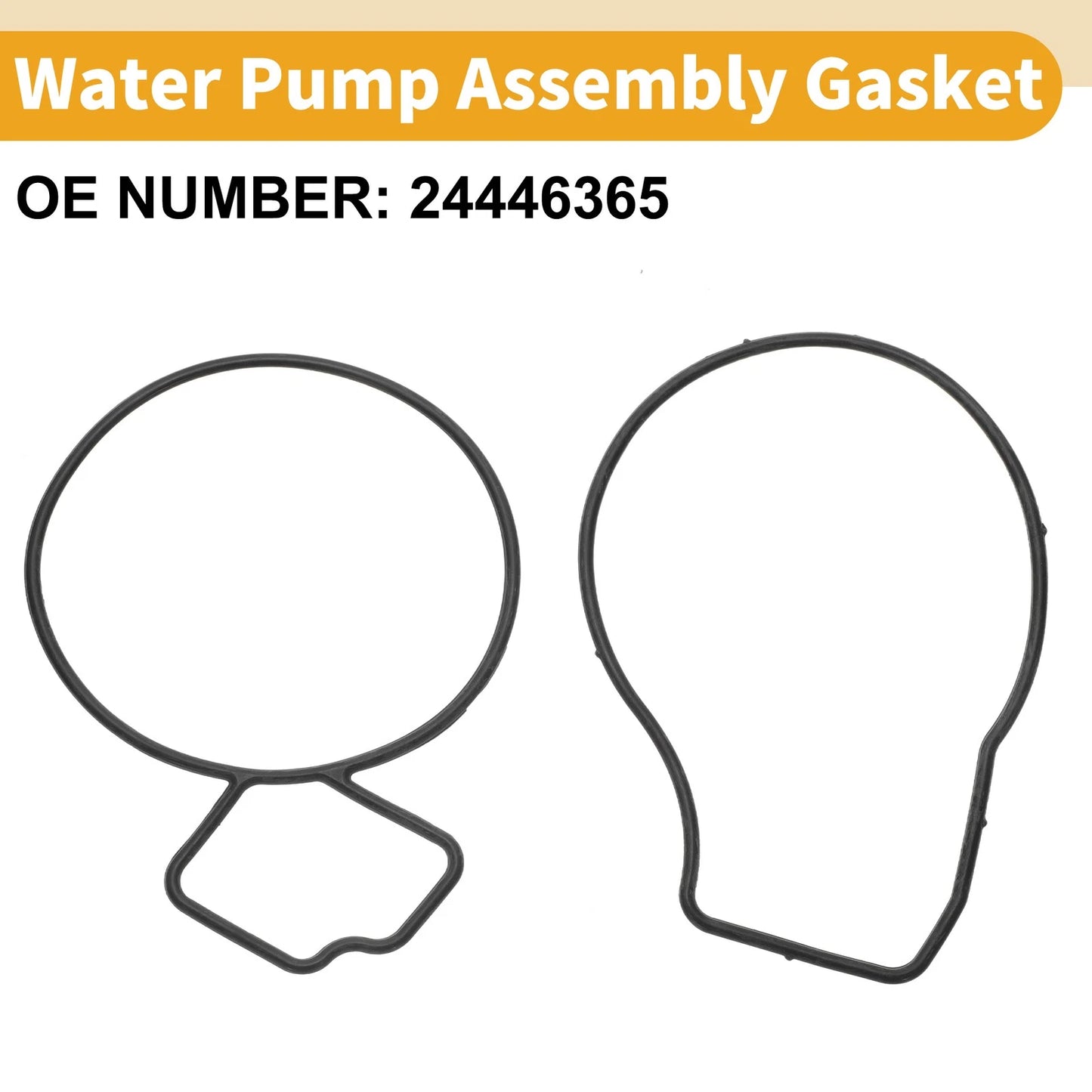Water Pump Assembly Seal for Chevrolet Equinox (2010 - 2017)