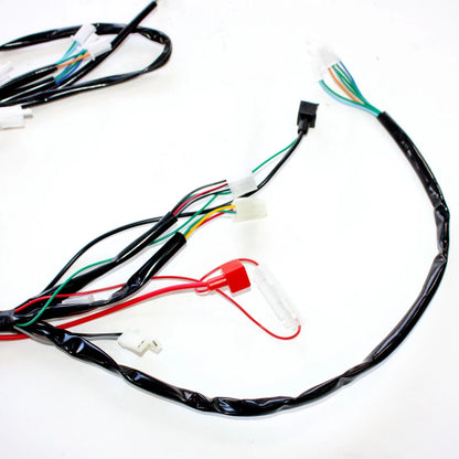 125cc PIT Trail Dirt Bike Wiring Harness Loom & Light Wires