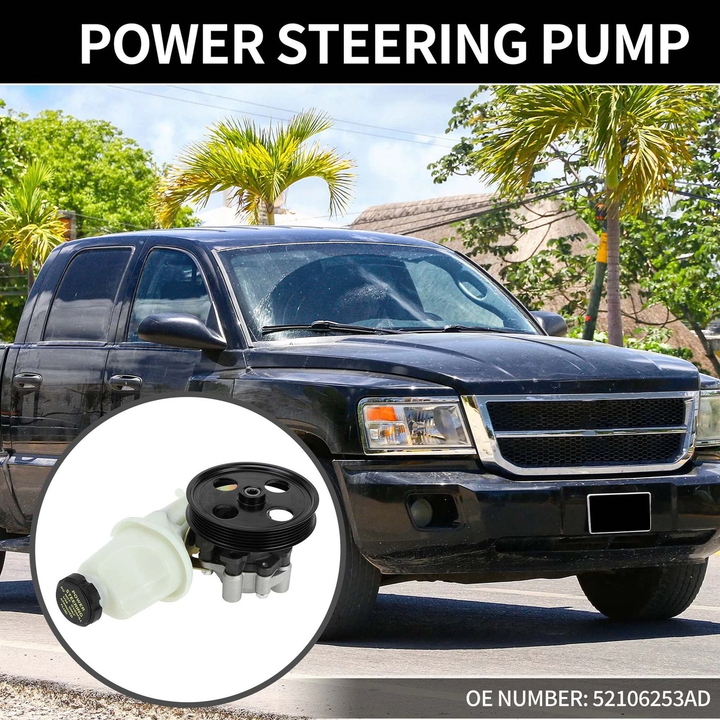 Power Steering Pump with Pulley for Dodge Dakota Durango (2001-2004)