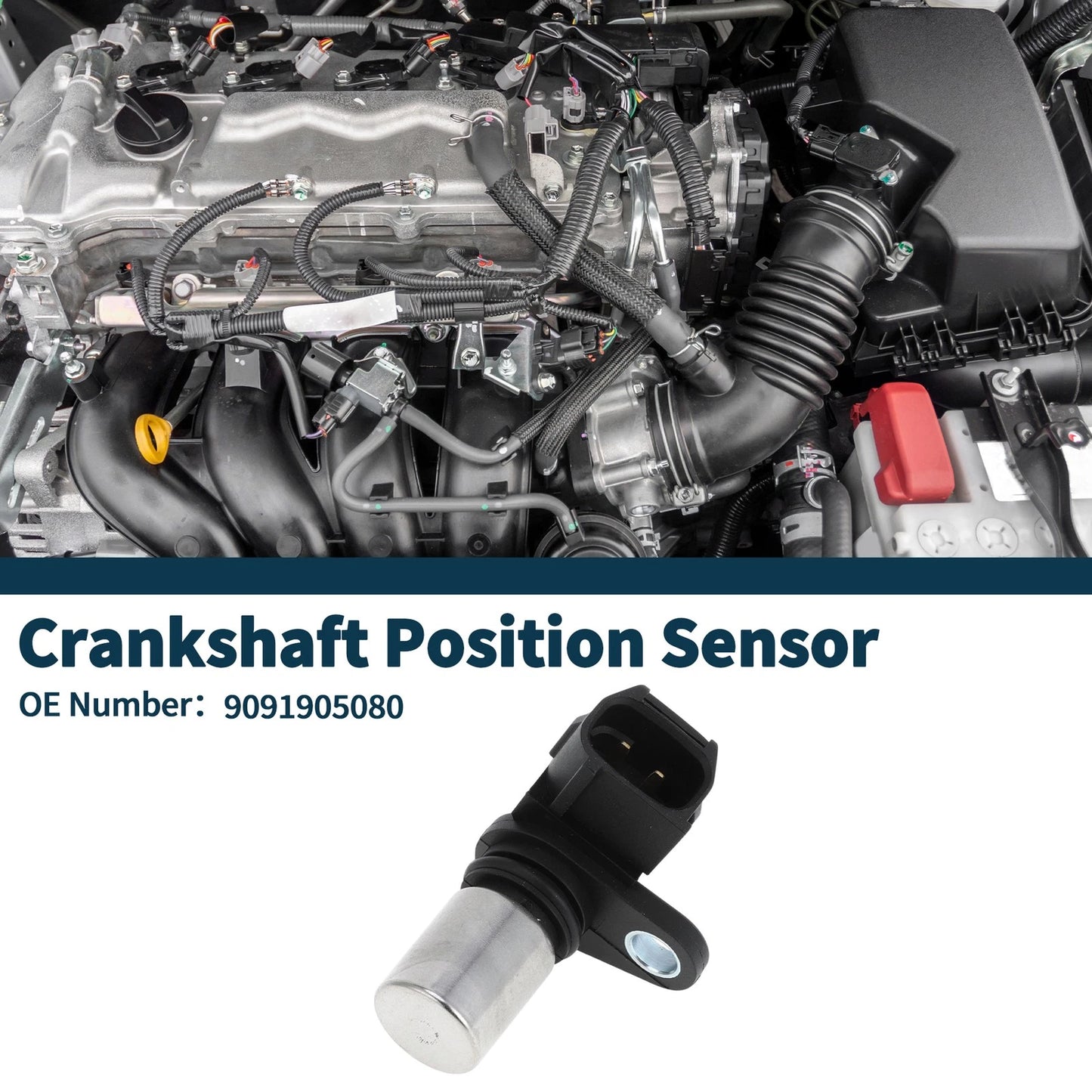 Crankshaft Position Sensor 1 Pc for Toyota Elios Liva Cross