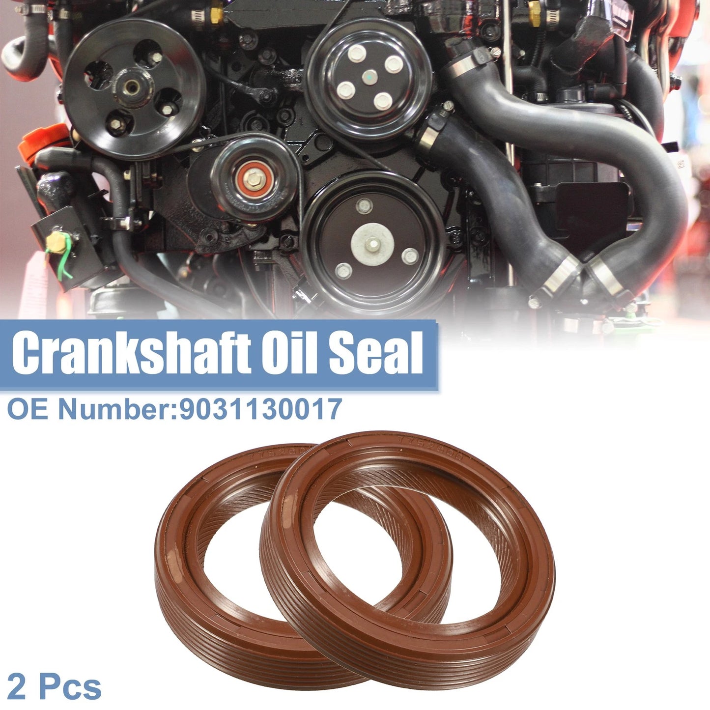 Engine Crankshaft Oil Seals for Toyota RAV4, Scion (1996-2004)