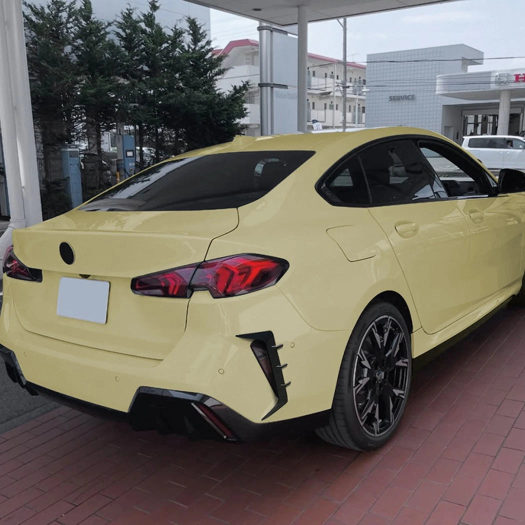 Rear Bumper Diffuser Valance Splitter for BMW 2-Series M Sport (2024–2024)