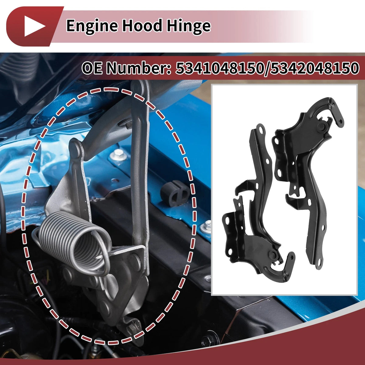 Hood Hinges 1 Pair for Lexus RX350 (2016-2022)