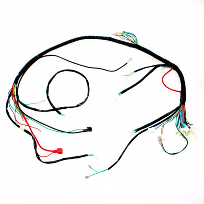 GY6 125cc 150cc Engine Wiring Harness Loom for Quad Bike ATV Buggy