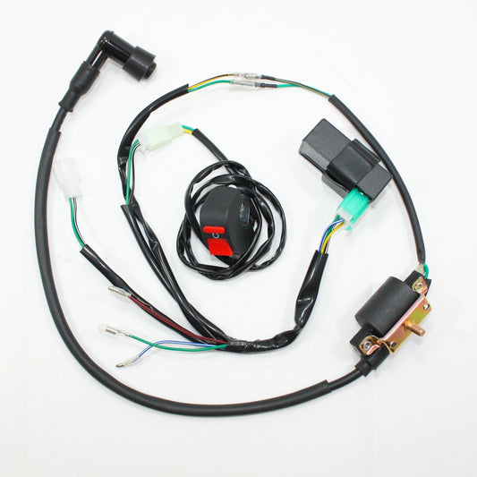 125cc Kick Start Engine Motor + Wiring Kit + Carby for PIT PRO Dirt Bike