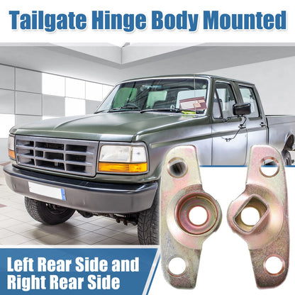 Tailgate Hinge Roller Pivot for Ford F-150 (1997-2003)