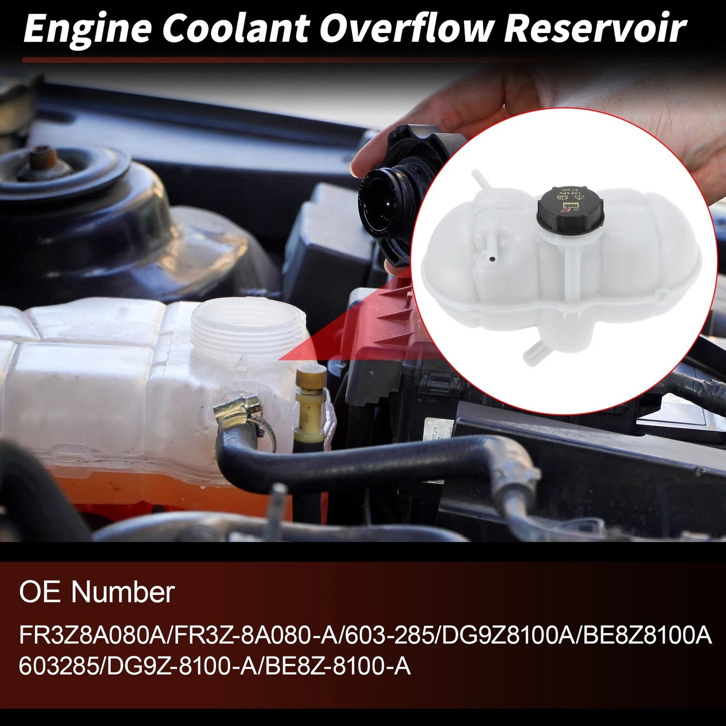 Coolant Expansion Reservoir Tank with Cap for Ford Mustang (2015-2023)