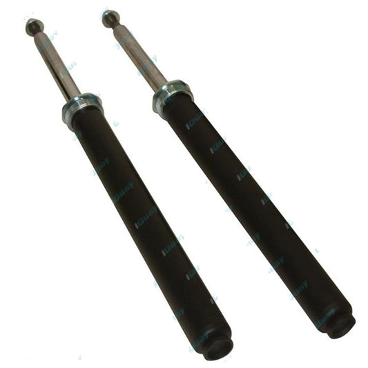 2 x Front Strut Shock Absorbers for Toyota RAV4 4WD (1994-2000)