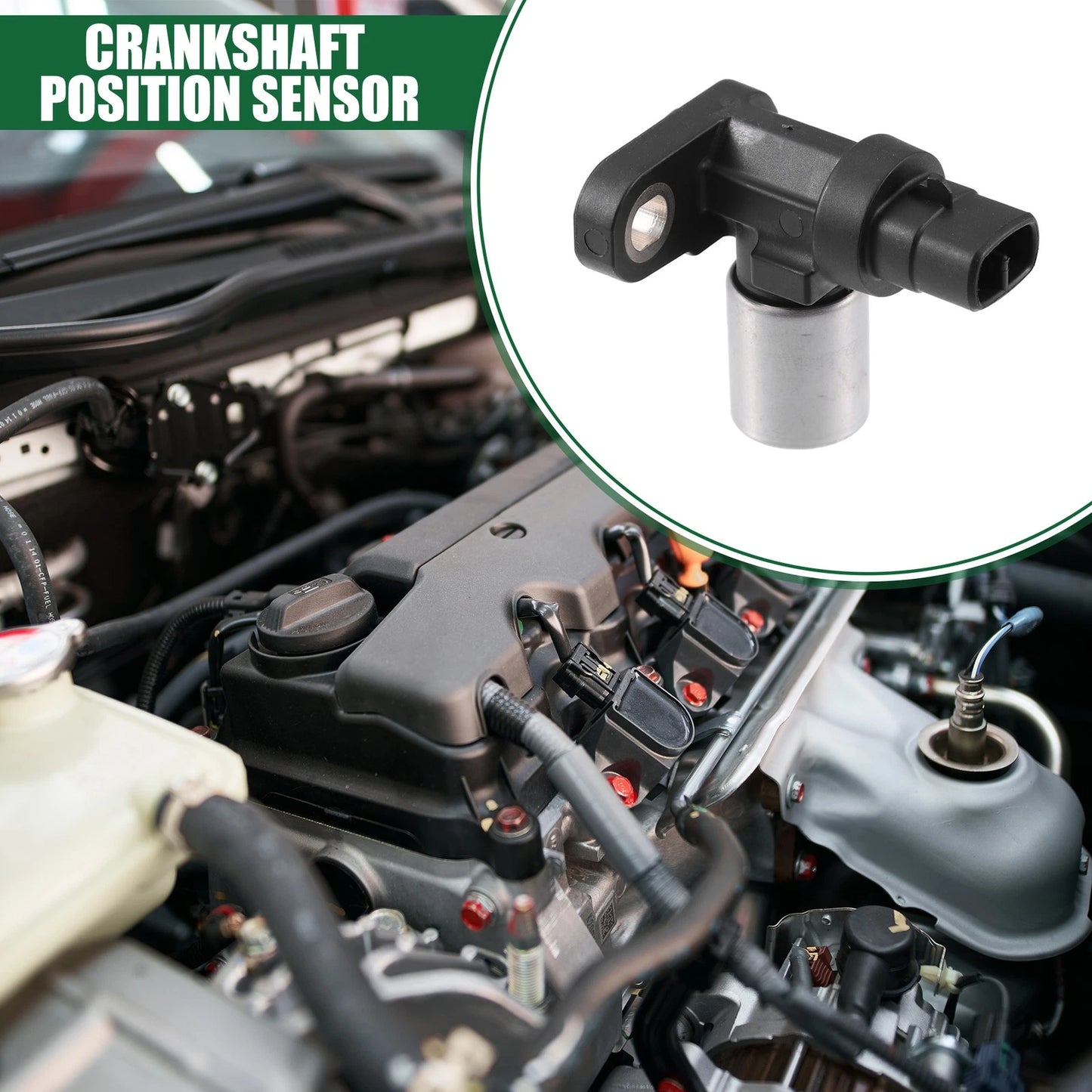 Crankshaft Position Sensor for Toyota Daihatsu