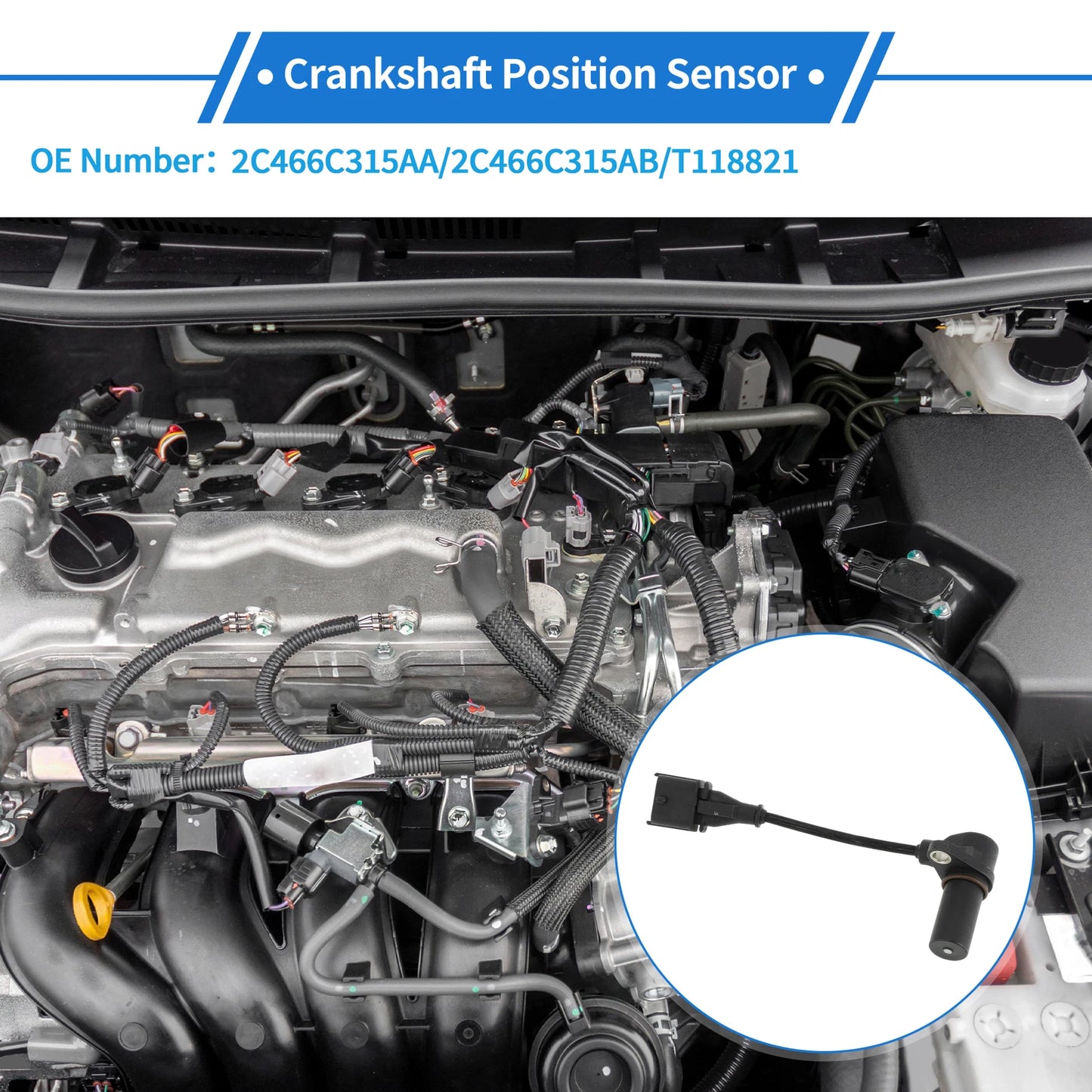 Crankshaft Position Sensor for Ford (No.2C466C315AA) (2000-2005)