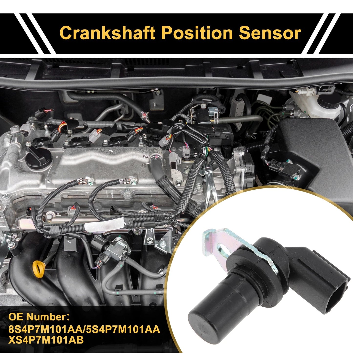 Crankshaft Position Sensor for Ford Focus 1998-2011 CKP Sensor