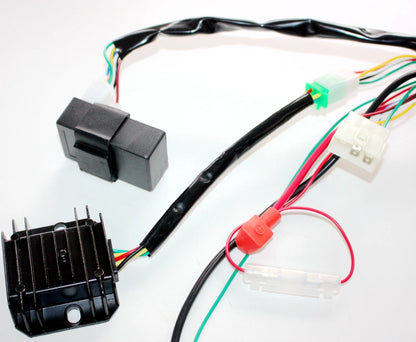 Wiring Harness Loom for 150cc 250cc Engine PIT Quad Dirt Bike ATV Buggy