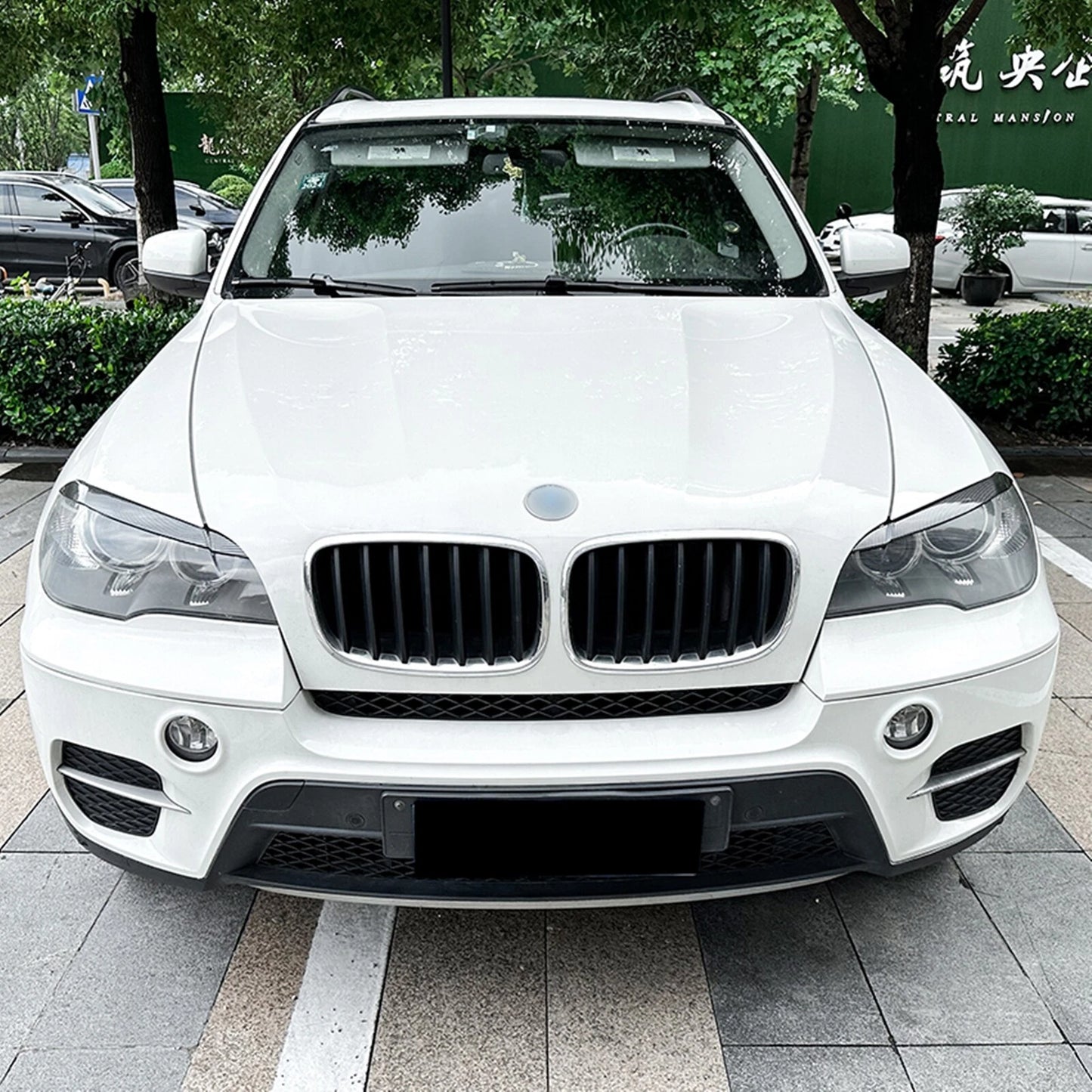 Headlight Eyelid Trim for BMW X5 E70 (2008-2013) - 1 Pair Carbon Look