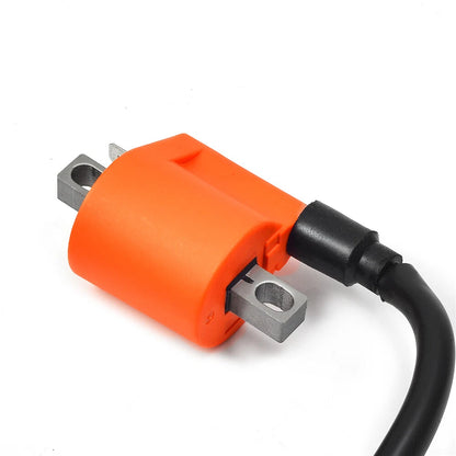 2 x Ignition Coil & Spark Plug for Yamaha Grizzly (2007–2014)