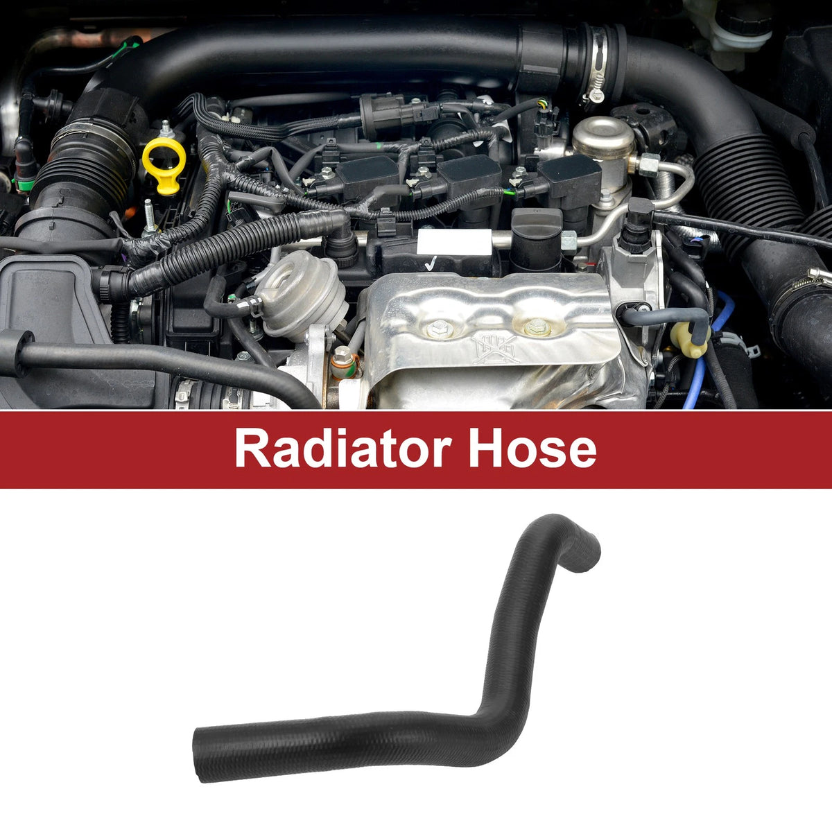 Radiator Hose 2.7L for Toyota Tacoma (2005–2015)