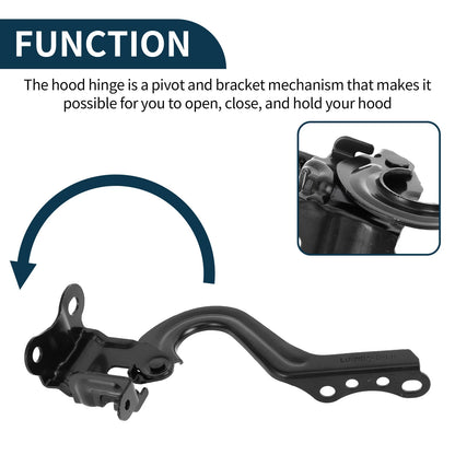 Hood Hinges 1 Pair for Toyota Prius C (2012-2018)