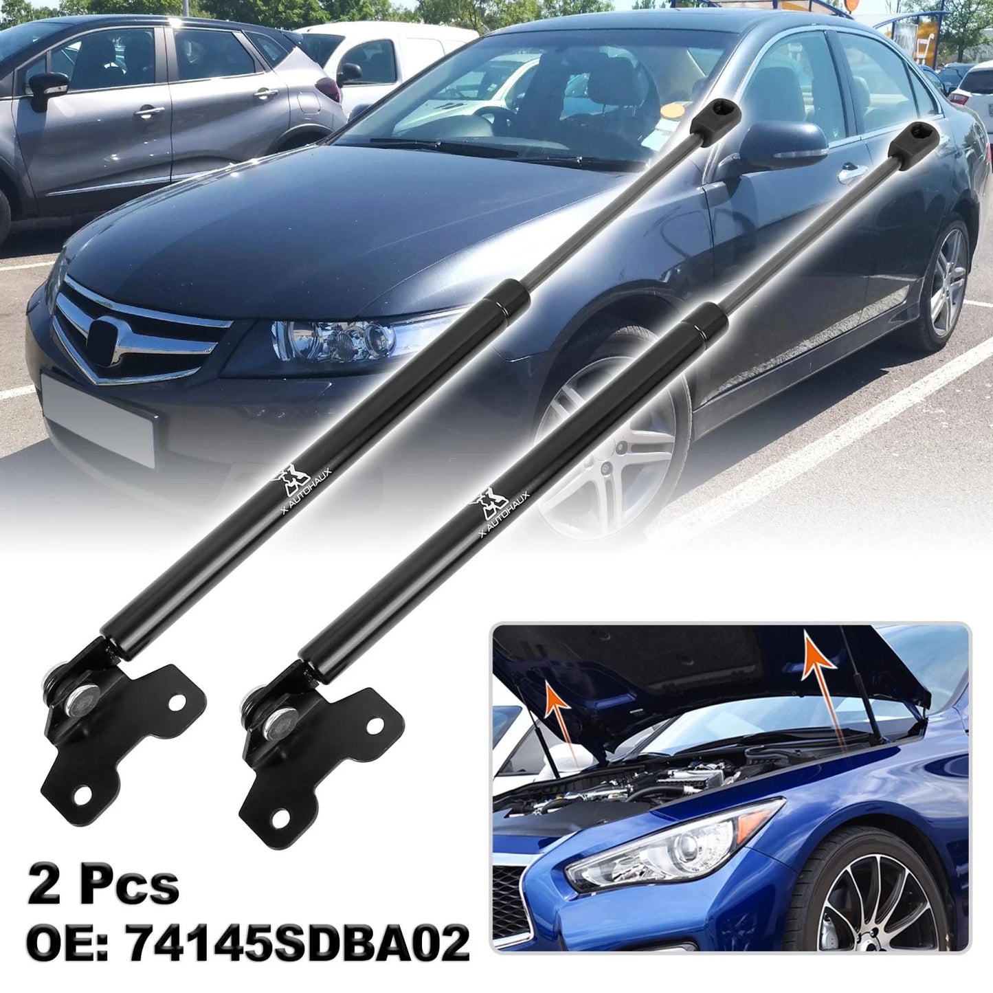 Front Hood Lift Supports for Honda Accord (2003-2007)