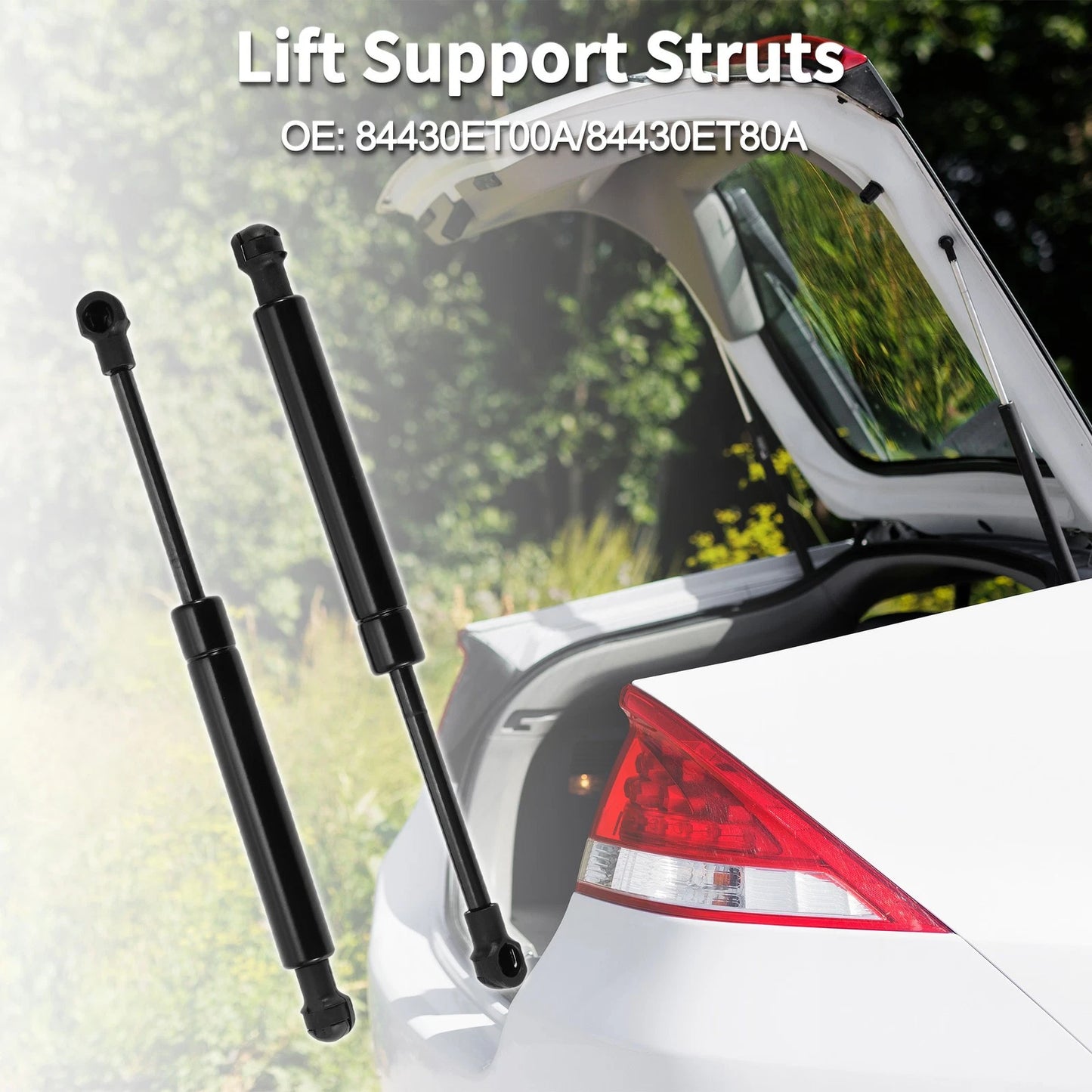 Rear Hatch Lift Supports for Nissan Sentra (2000-2006)