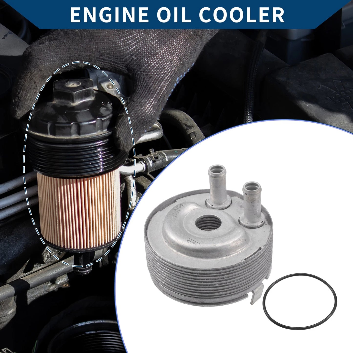 Engine Oil Cooler & Seals for Ford Fusion (2013-2016)
