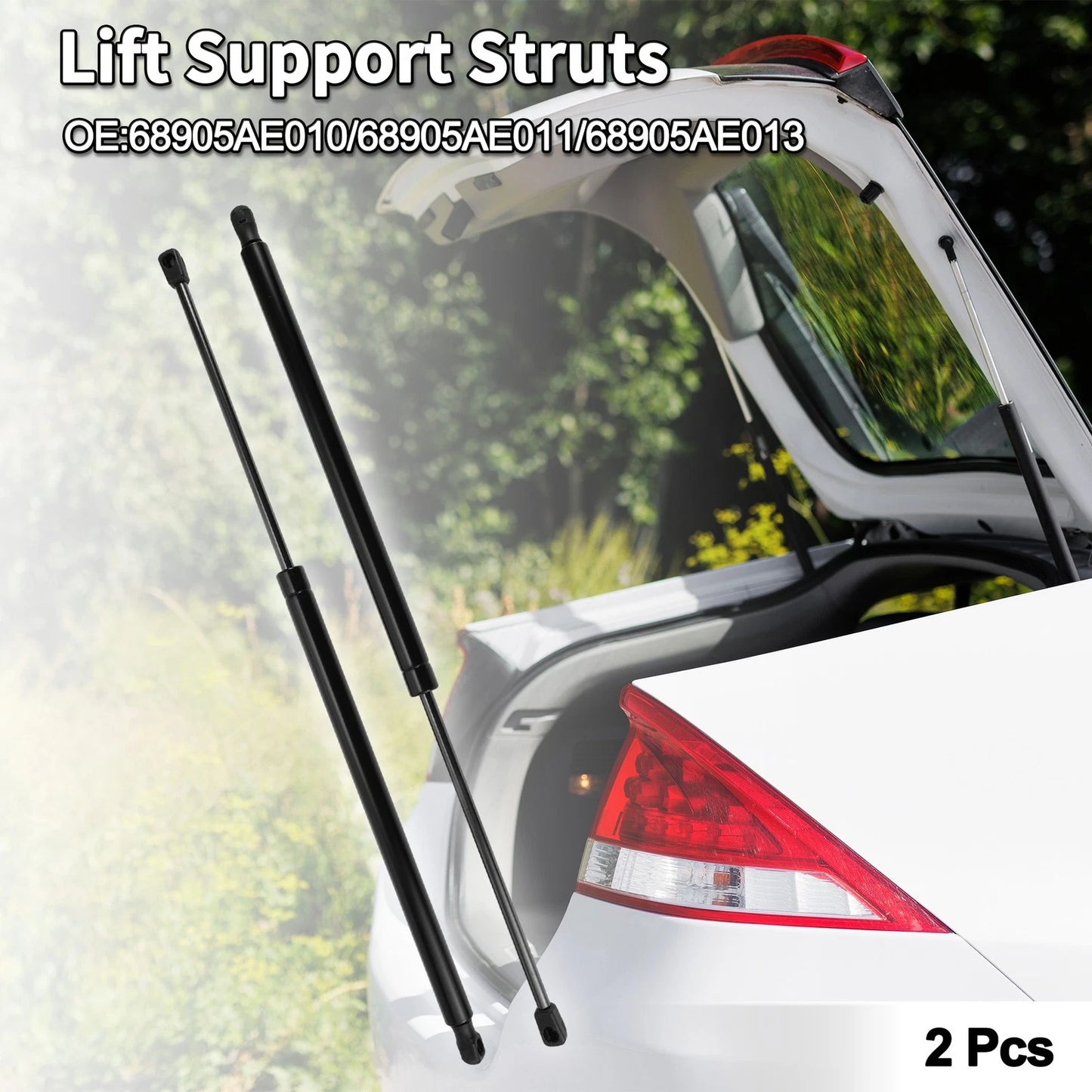 Rear Hatch Lift Supports for Toyota Sienna (2004-2020)