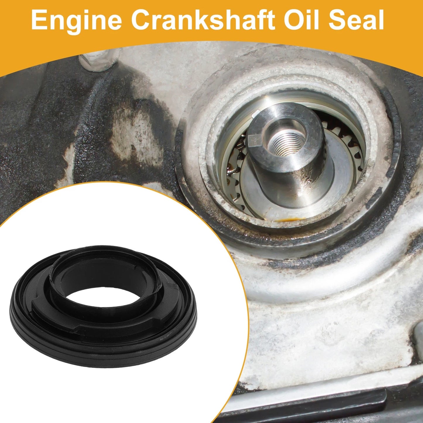 Front Crankshaft Oil Seal for Ford Transit 150 250 (2018-2019)