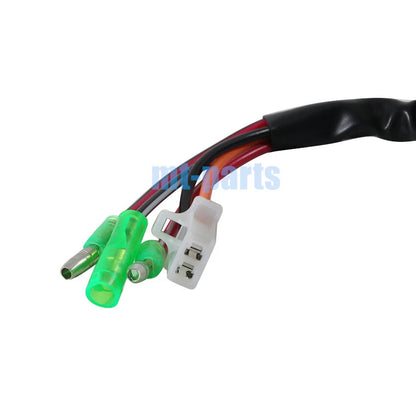 C.D.I Unit Ass'y for CPI ATV Crab 50, XS 50, XT 50 (2003-2004)
