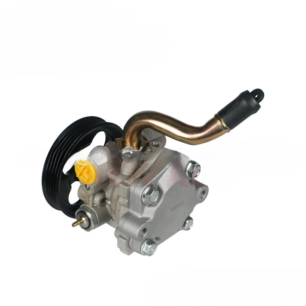 Power Steering Pump Mitsubishi Montero Sport (1999–2004)