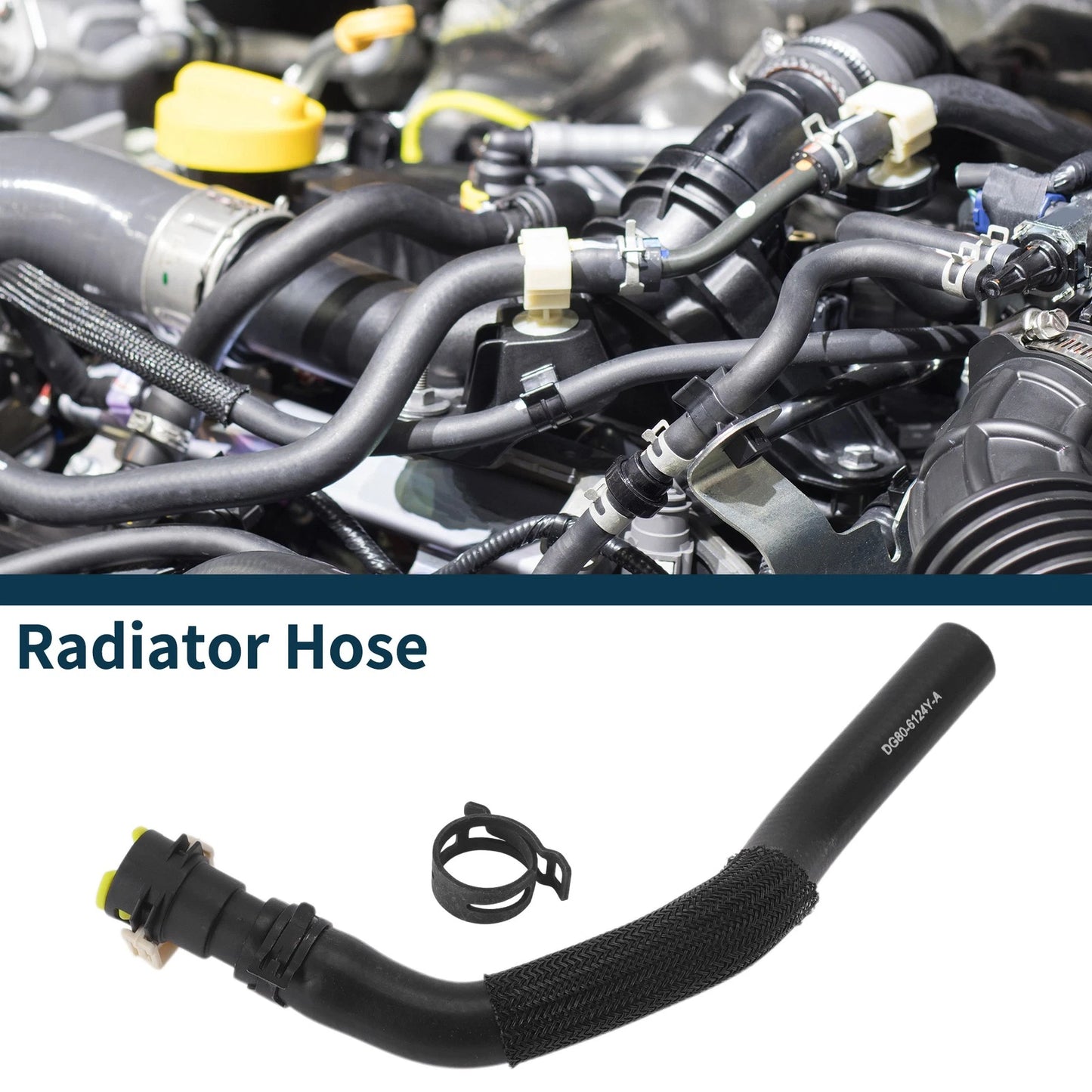 Radiator Hose No.DG806124YA for Ford Fiesta (2009-2011)