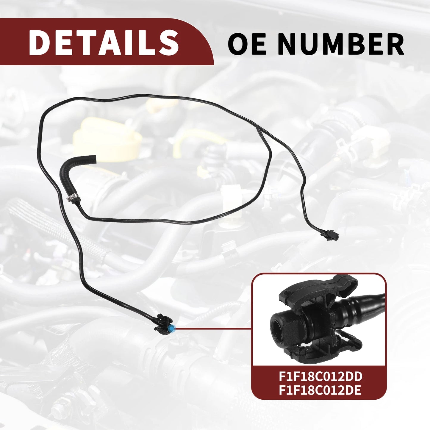 Radiator Hose for Ford Focus MK3 2014-2023 - Black 1 x Piece