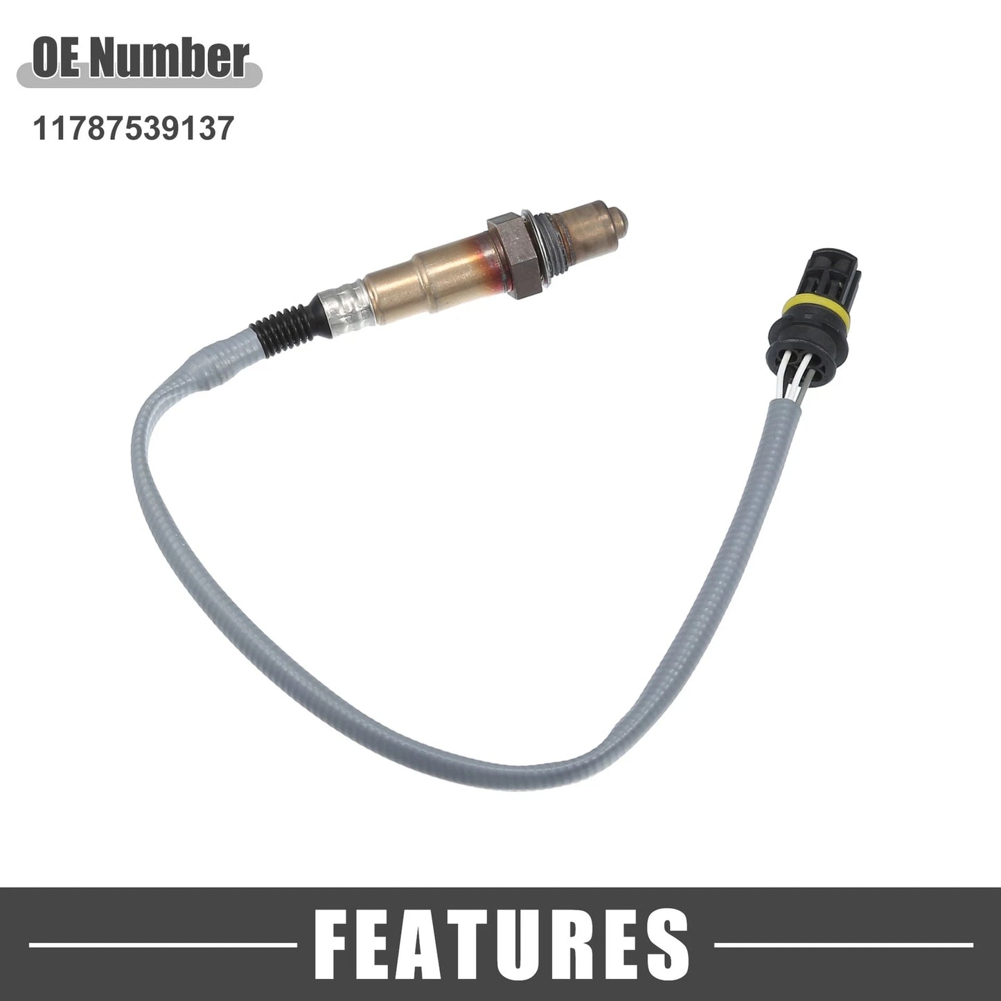 O2 Oxygen Sensors for BMW M5 (2013-2016)