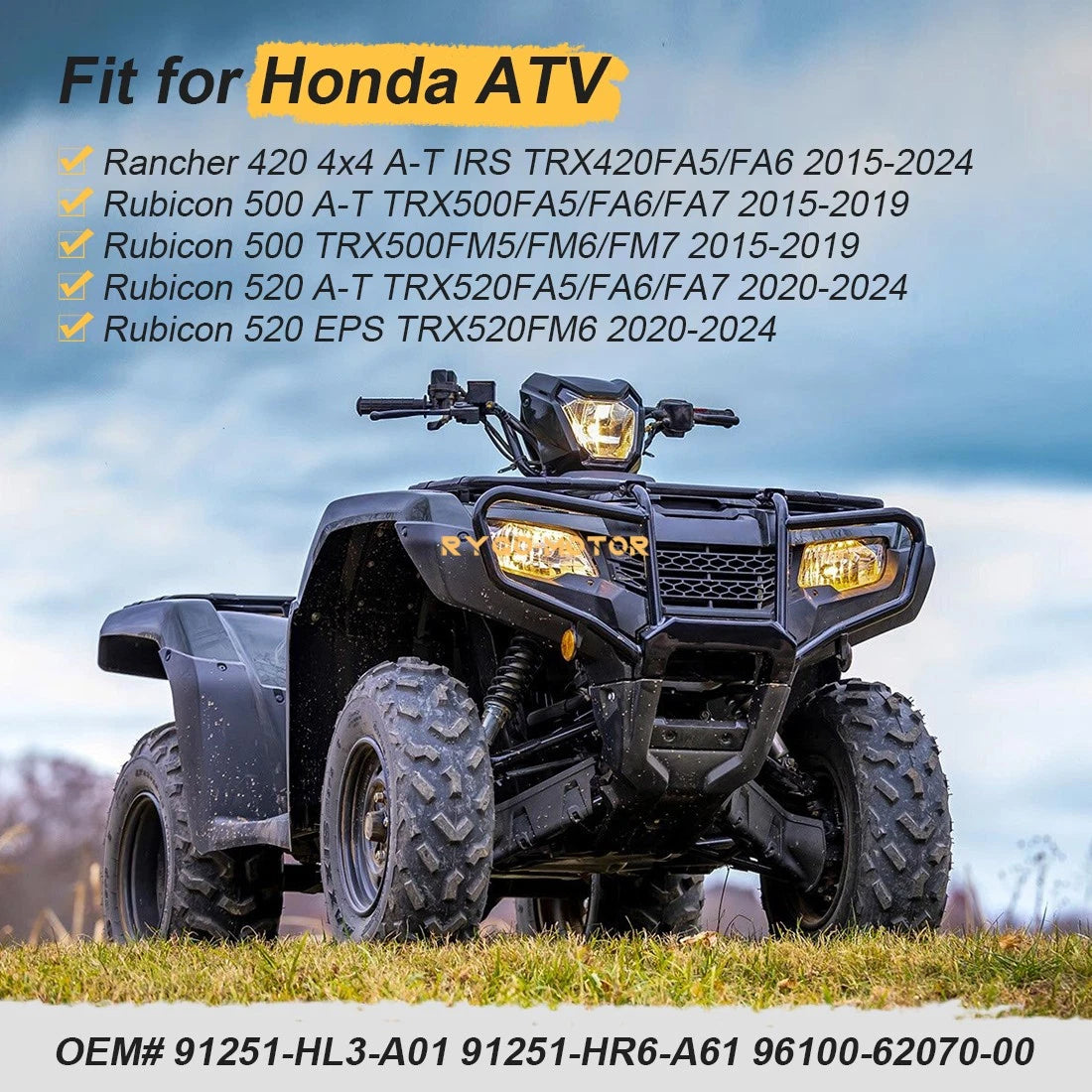 Rear Differential Bearing Seal Kit for Honda Foreman Rubicon 500 (2015–2024)