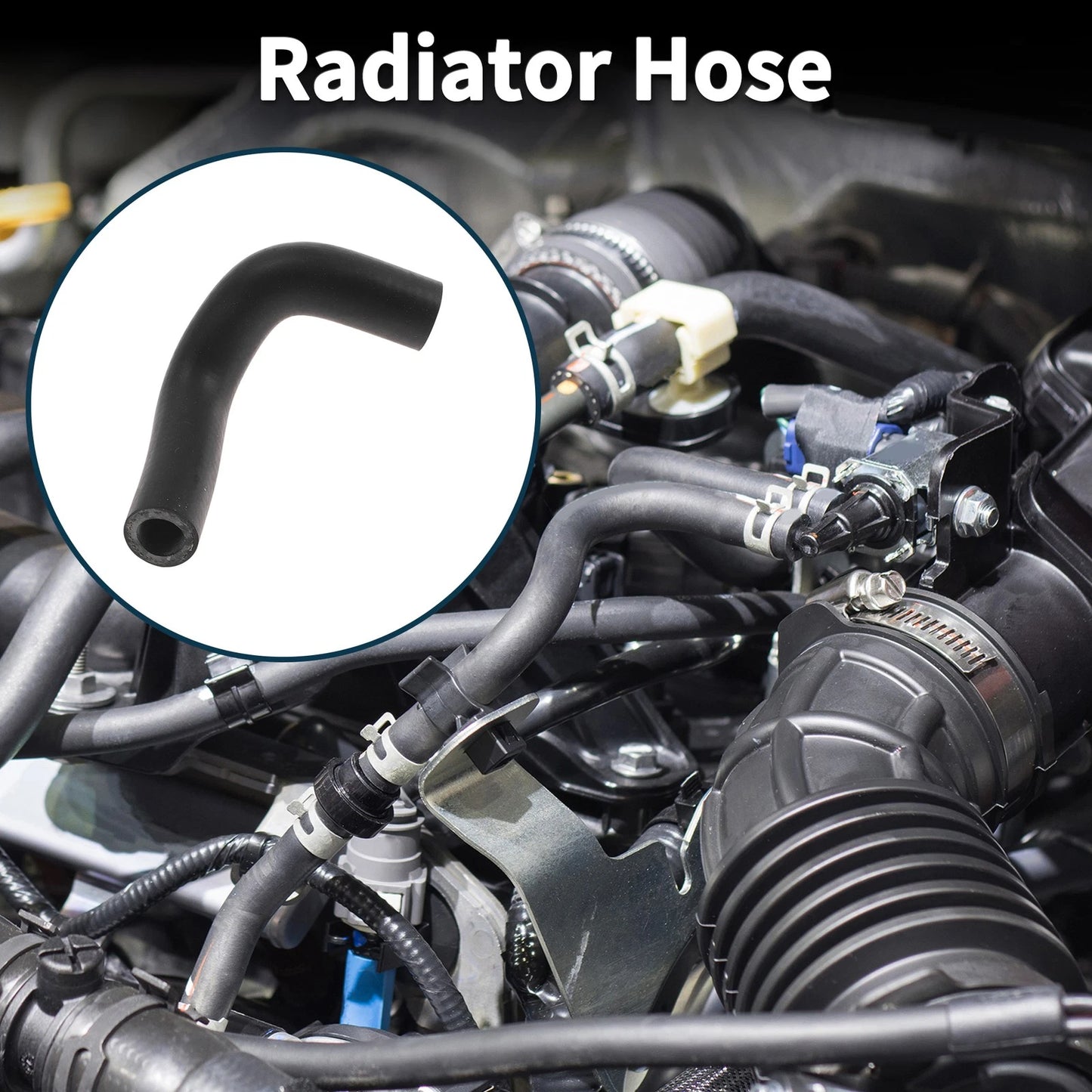Radiator Hose / 3.1L Gas for Buick Century (1997–2005)