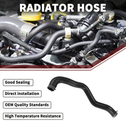 Radiator Hose for Ford Fiesta (2008-2023)
