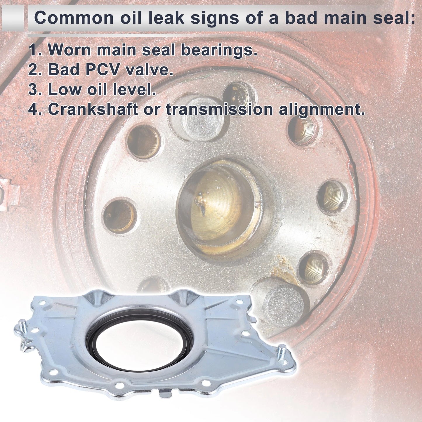 Rear Crankshaft Oil Seal for Ford F-150 (2014-2025)