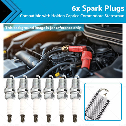 6 x Spark Plugs for Holden Caprice Commodore Statesman Crewman (2006-2017)