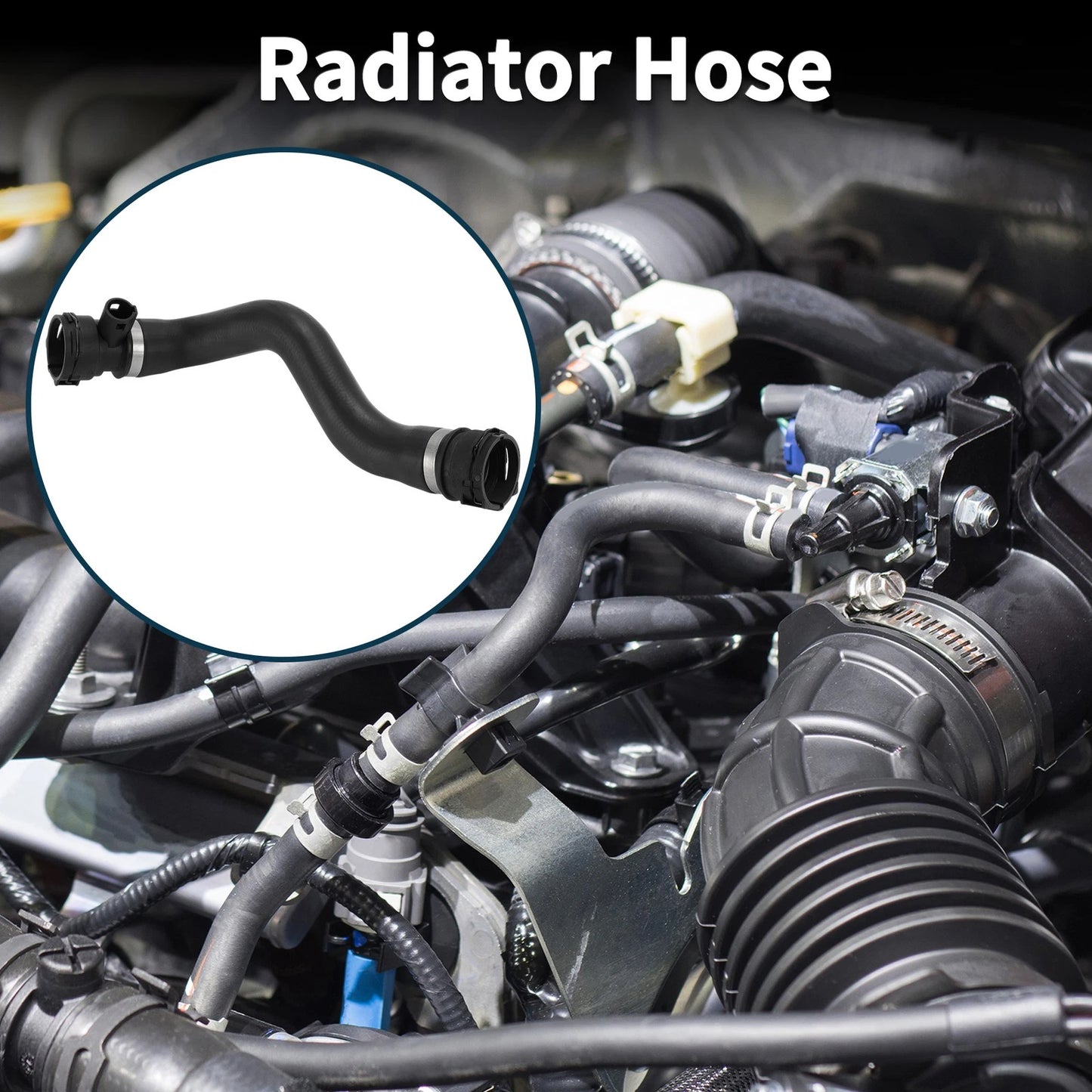Radiator Hose for BMW X5 (2003-2006)